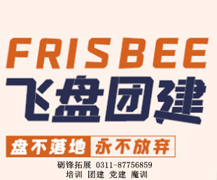 飛盤方案